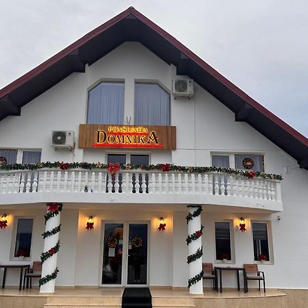 Pensiunea Domnika Dej Exterior foto